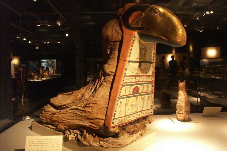 Discover Ancient Secrets at the Mummification Museum in Luxor