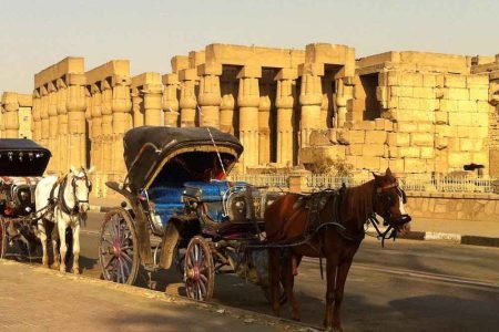 Horse-Drawn Carriage Tour Through Luxor City
