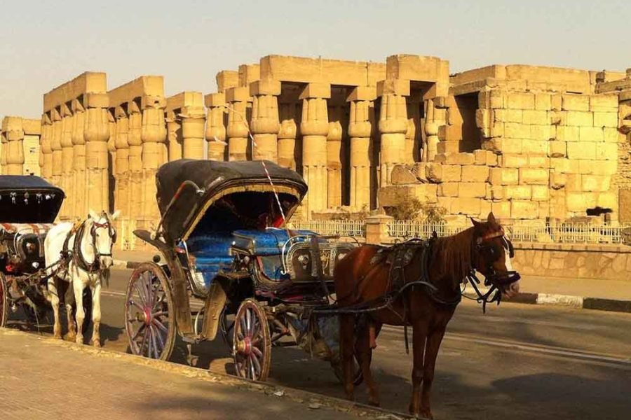 Horse-Drawn Carriage Tour Through Luxor City