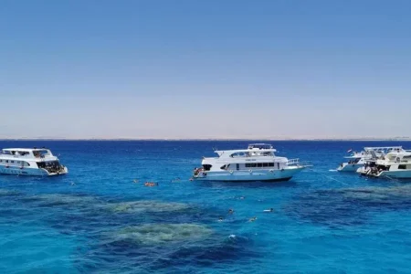 From Sharm El Sheikh: Snorkeling Tour to Ras Mohamed by Bus