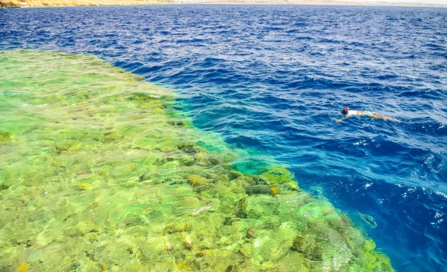 Discover the Red Sea with a Hurghada Orange Bay boat trip