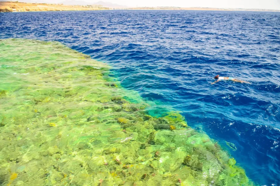 Discover the Red Sea with a Hurghada Orange Bay boat trip